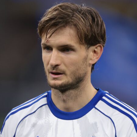 Gesuchte „Soforthilfe“: Mainz leiht Ex-Hoffenheimer Posch aus