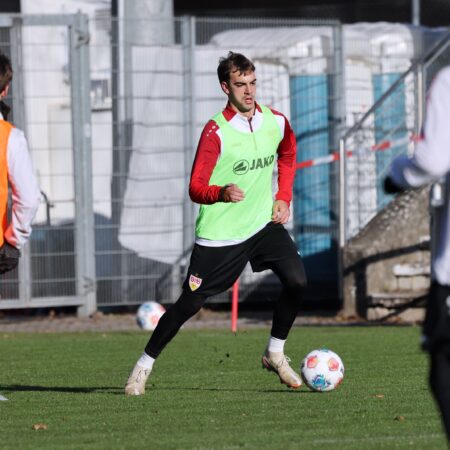 Milosevic vor Wechsel zu Werder Bremen