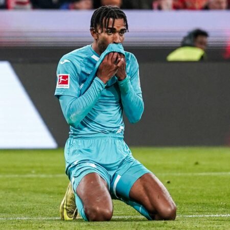 DFB sperrt Hoffenheims Akpoguma für ein Spiel