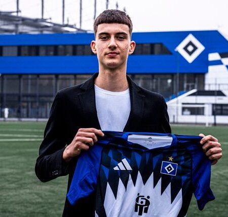 Ein Transfer-Coup des HSV – auch wegen Vuskovic