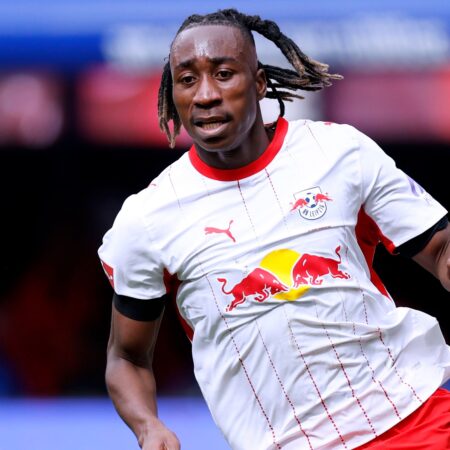 Olise-Nachfolger: Diomande zum „Rookie der Saison“ gewählt