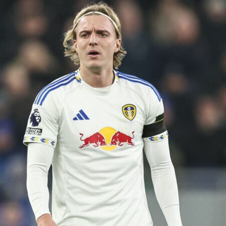 Der HSV-Plan mit Bornauw